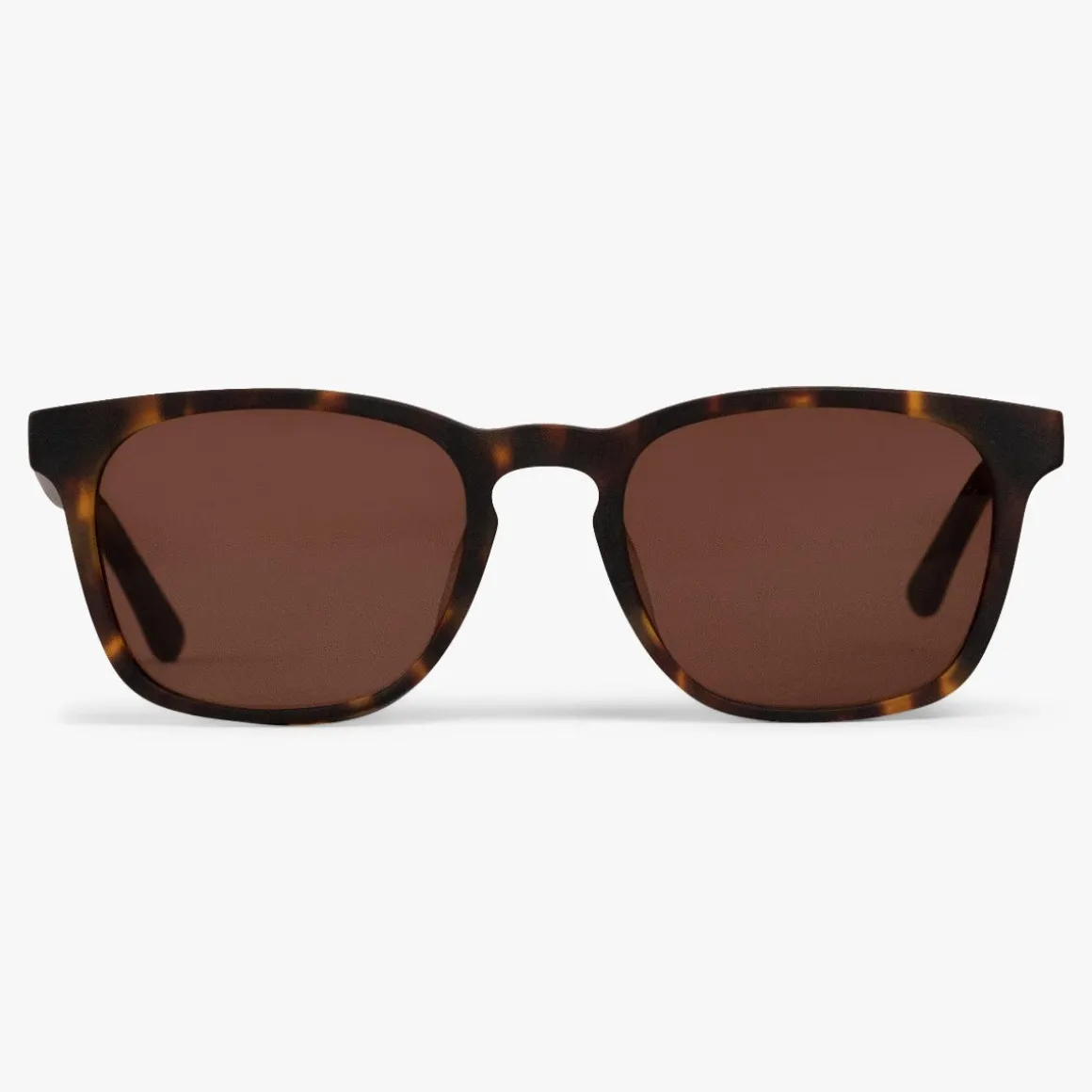 Men's Bornholm Dark Turtle