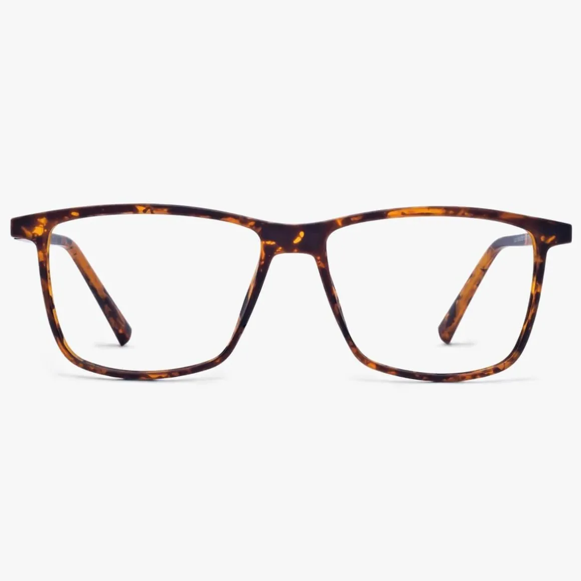 Men's København Turtle