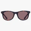 Men's Malmö Dark Turtle