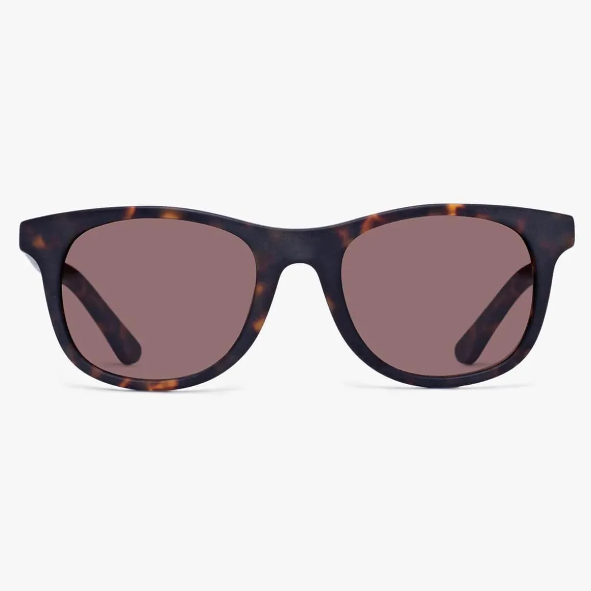 Men's Malmö Dark Turtle