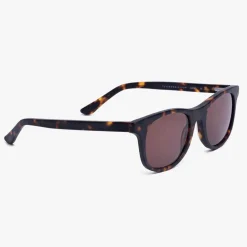 Men's Malmö Dark Turtle