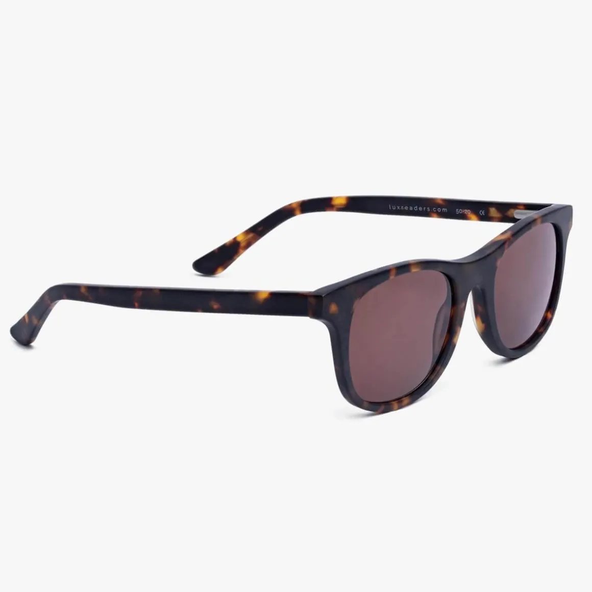 Men's Malmö Dark Turtle