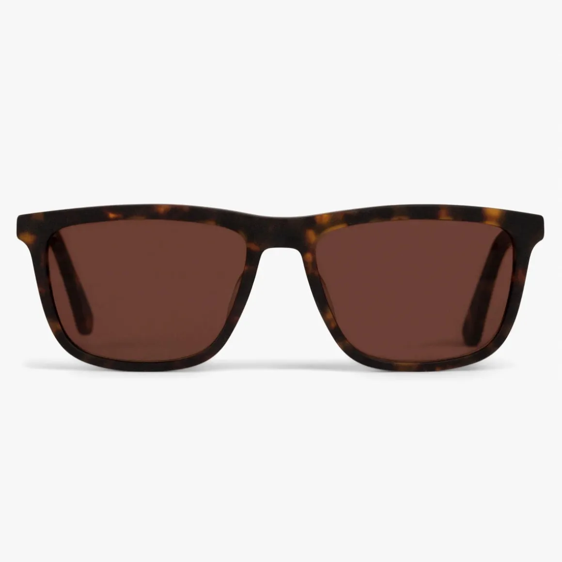 Men's Oslo Dark Turtle