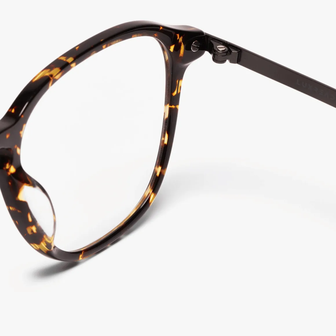 Men's Rønne Dark Turtle