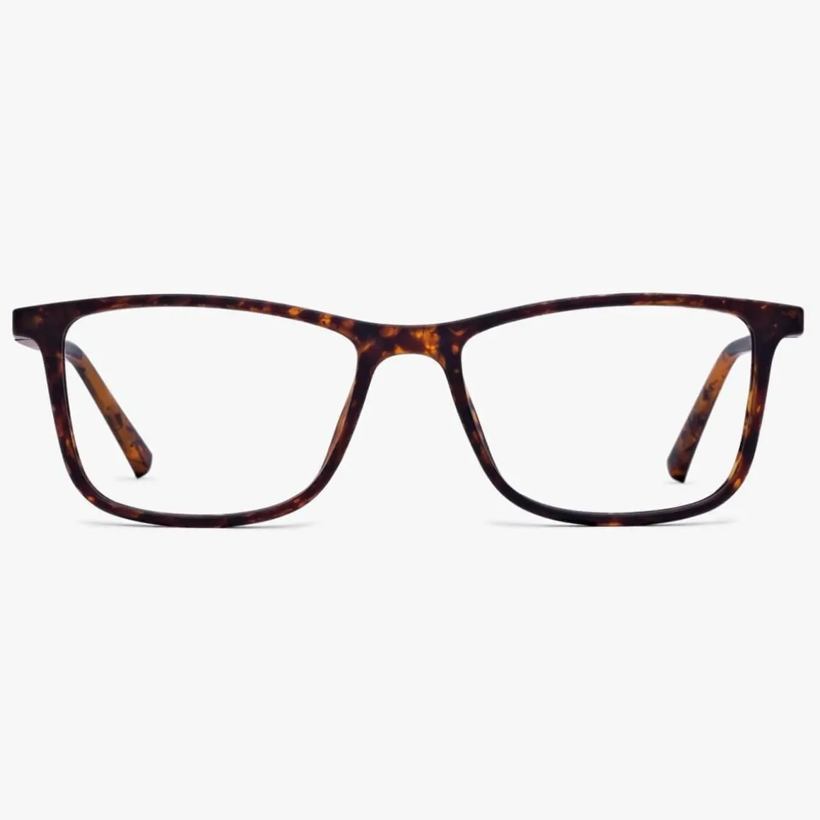 Men's Skagen Turtle