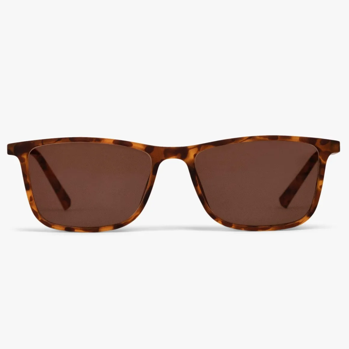 Men's Skagen Turtle